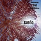 SUEÑO feat Rocío Ancares Single