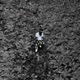 Pocket Operations III Instrumental