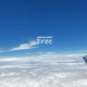 Free Single