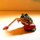 Frogg feat Dazigus Single