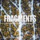 Fragments Single