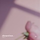 Blossom Single