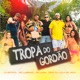 Tropa do Gordão feat DJ Lula do Jaca Single