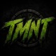 TMNT Single