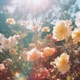 CLOSE TO YOU EP