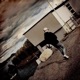Alpo Single