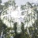 Sad Song Single