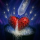 NON ERA LOVE Single