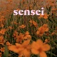 Sensei Single