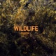Wildlife Single