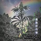 孤独の代償 Single