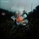 Secret Garden Single