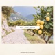 Make Lemonade Single