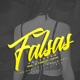 Falsas Palabras feat Mr Music Single