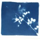 lights feat SLONE Single