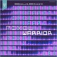 Pixel Warrior Single