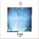 Ergo Single