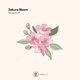 Sakura Bloom Single