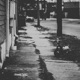Coming Down Single