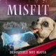 Misfit feat Jon Lamboy Single
