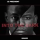 Into the Dark feat Q Bass Jooma Single