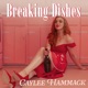 Breaking Dishes Single