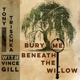 Bury Me Beneath the Willow feat Vince Gill Single