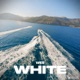 White Single