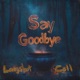 Say Goodbye Single