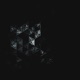 Notbeaturfulkl feat Osch Single