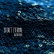 Distortions Single