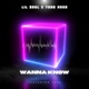 Wanna Know feat JADE Single