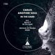 In The Dark Single