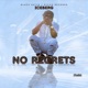 No Regrets Radio Edit Single