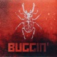BUGGIN feat 43 Scout Ronks Crofty Hindley Zach Byrne Lavez Dexter Seamus Timbo Phinix Luton rūku Single