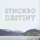 Synchrodestiny Single