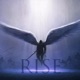 Rise Single