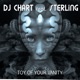 Toy of Your Vanity feat STERLiNG Single