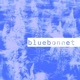Bluebonnet Single