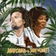 Echoes from the Jungle Single Version Single