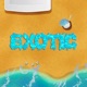 Exotic Single