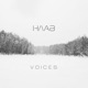 Voices Single