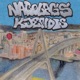 Nabolagskjendis Single