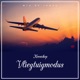 Vliegtuigmodus Single