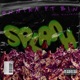 Splash feat B I N Single