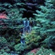 Garden Single