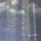 愿你有一个人 Single