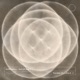 Parallel Circuits III Single