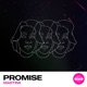 Promise Single