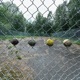 Two Balls Are Enough
